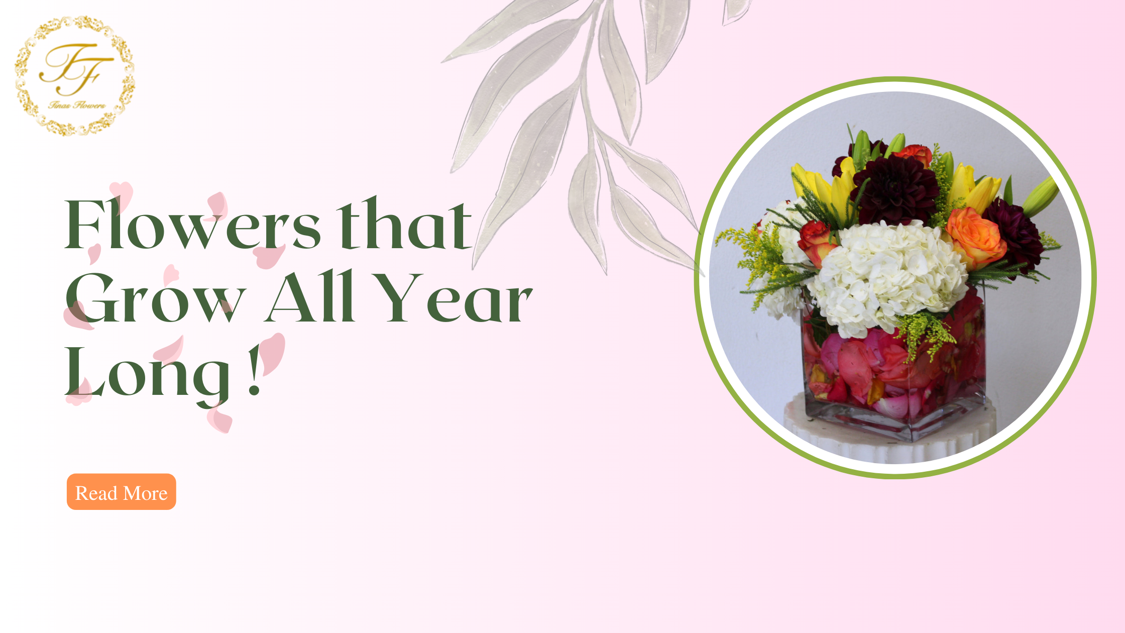 Top Flowers That Bloom All Year Long Tinas Flowers & Gifts