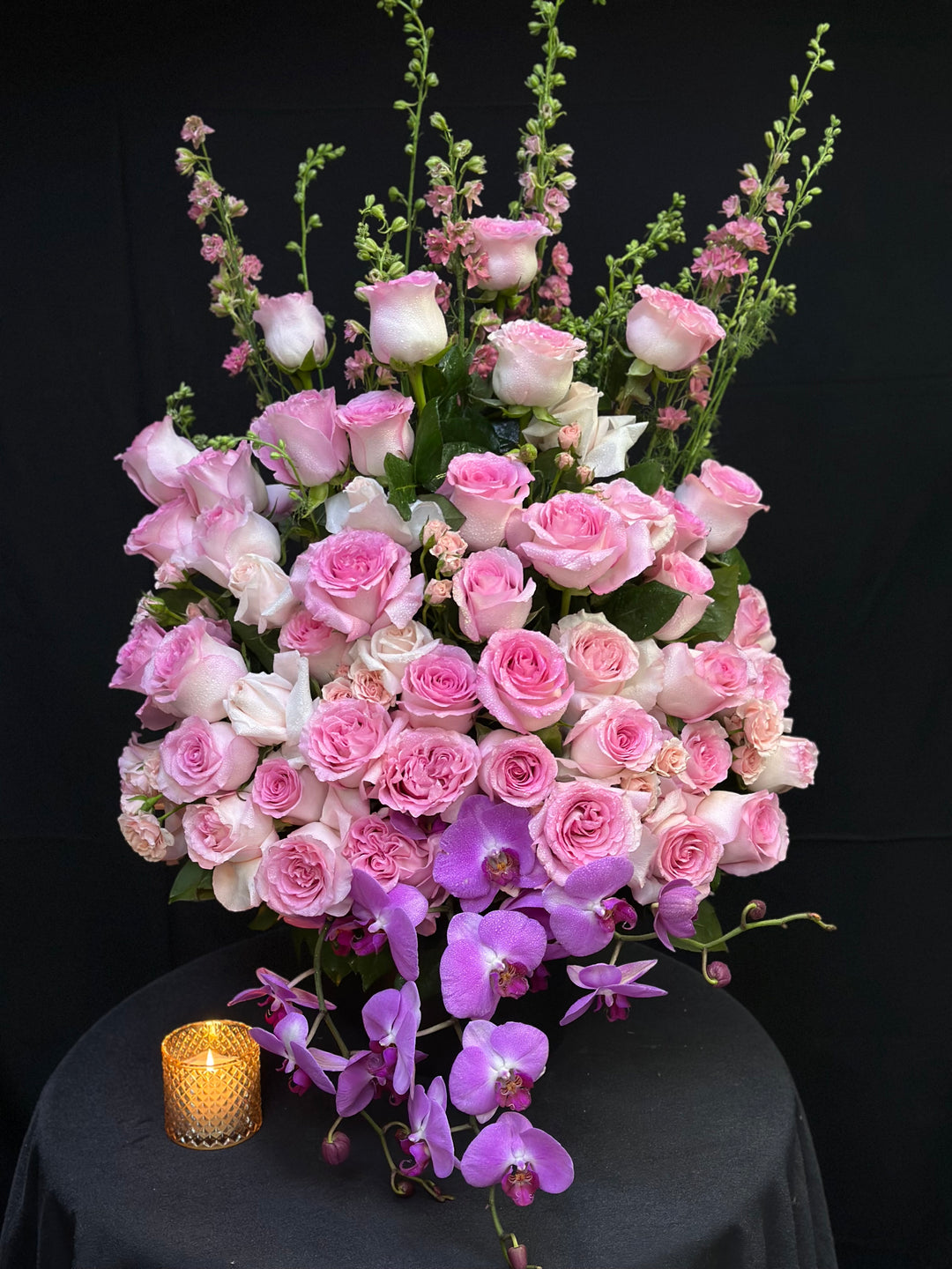 Orchid Elegance