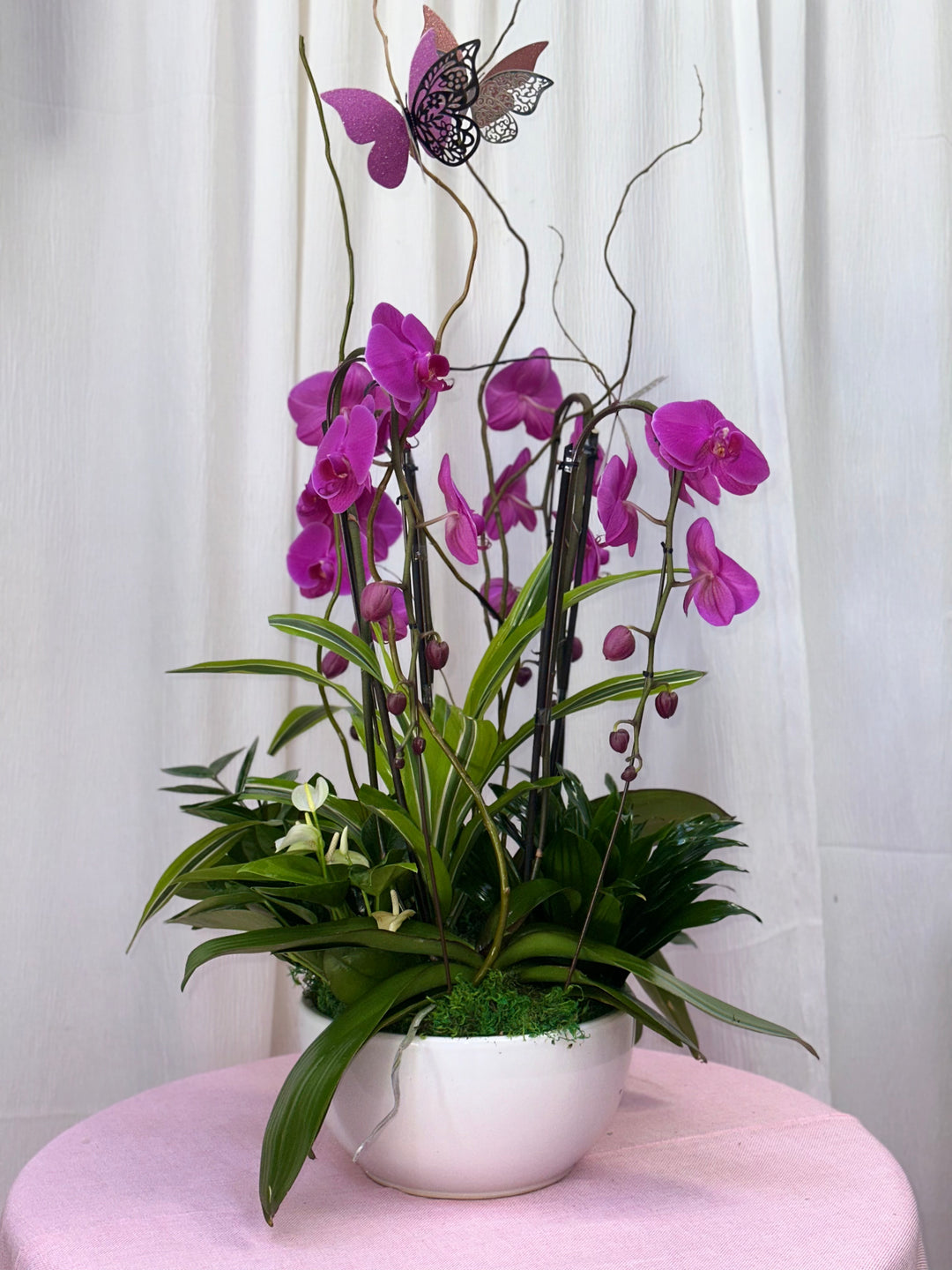 Majestic Orchid Garden Arrangement