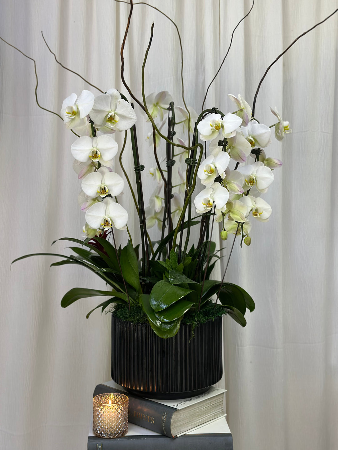Timeless Grace Orchid Arrangement