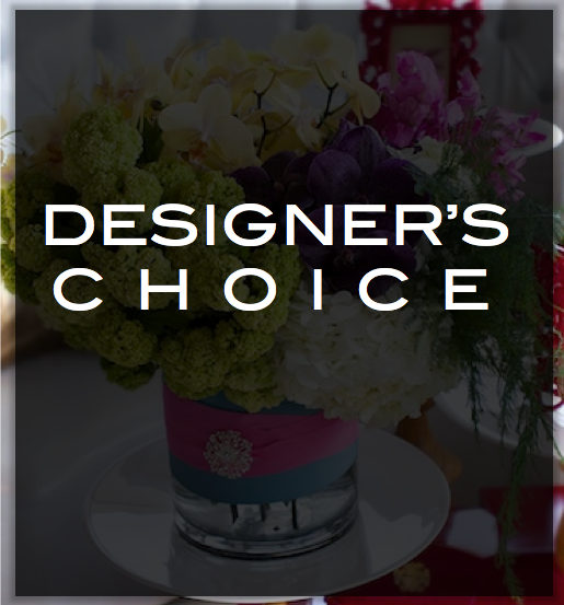Designers Choice