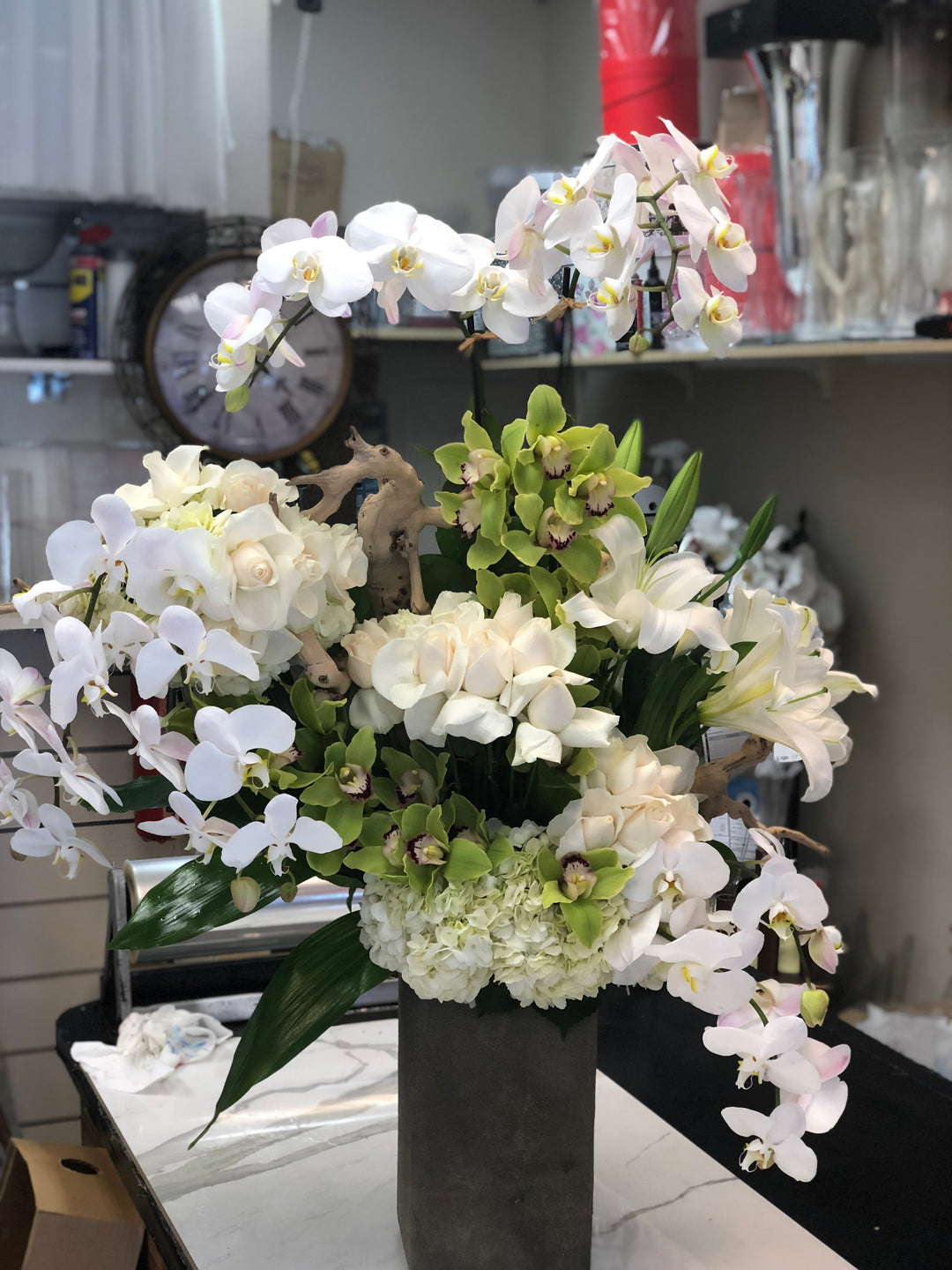 Wild Orchids