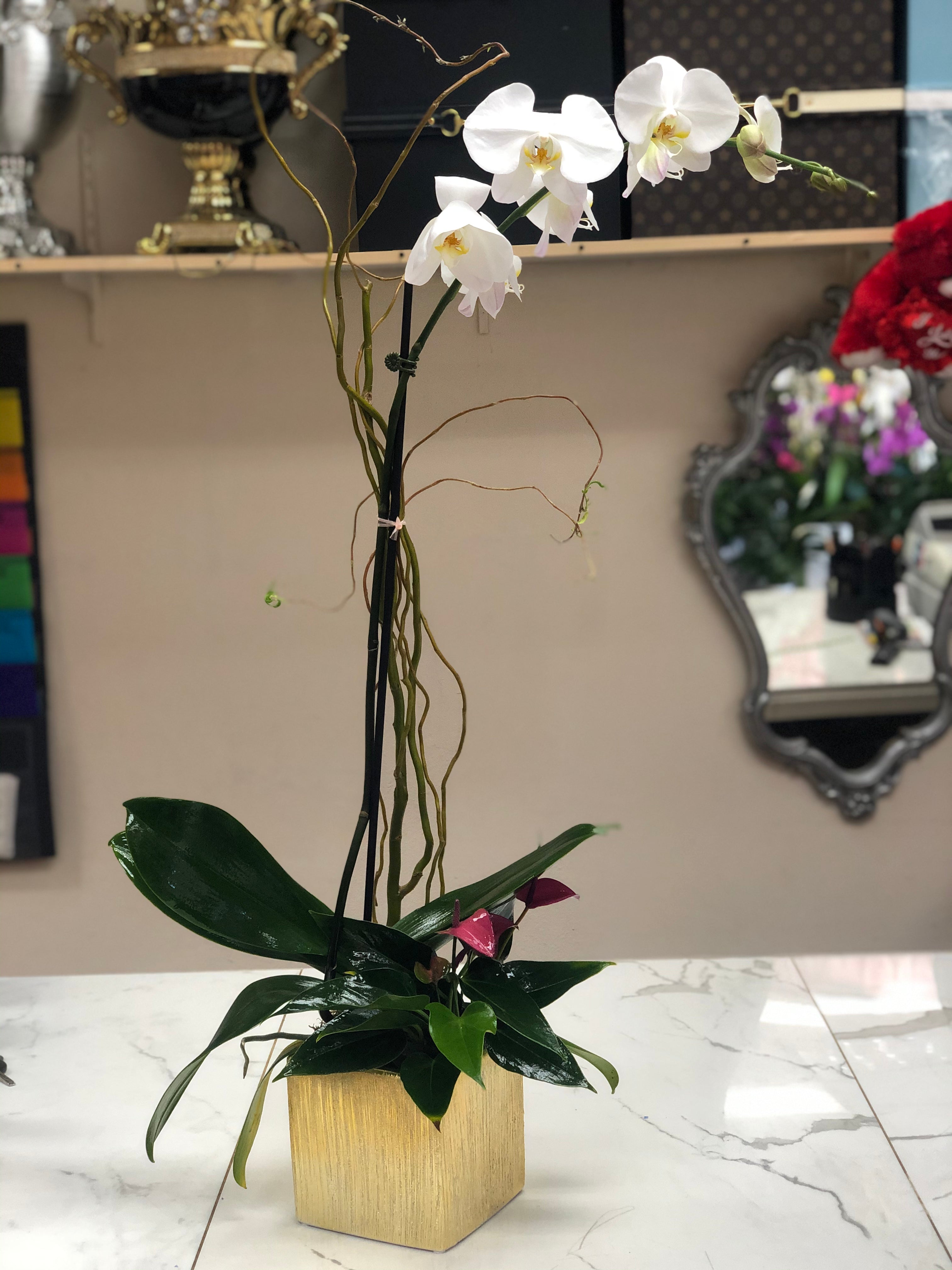 LV Box with Orchids – Tinas Flowers & Gifts