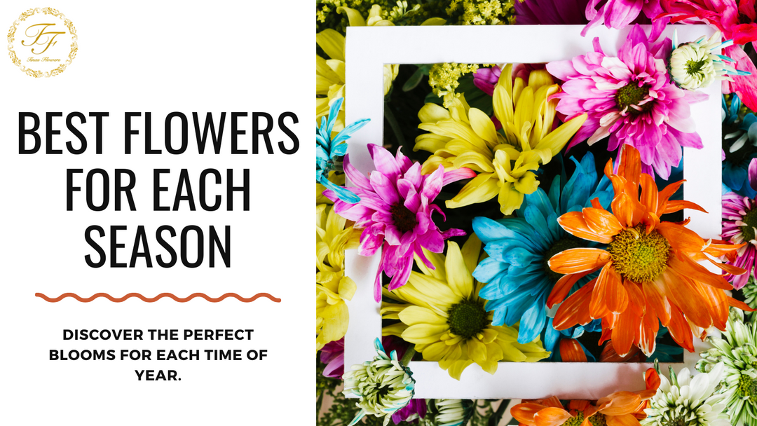 Understanding Seasonality: Best Flowers for Each Season