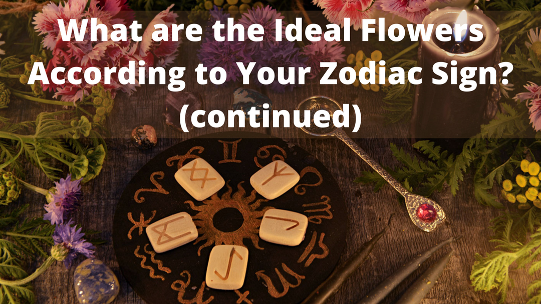 What are the Ideal Flowers According to Your Zodiac Sign? (continued)