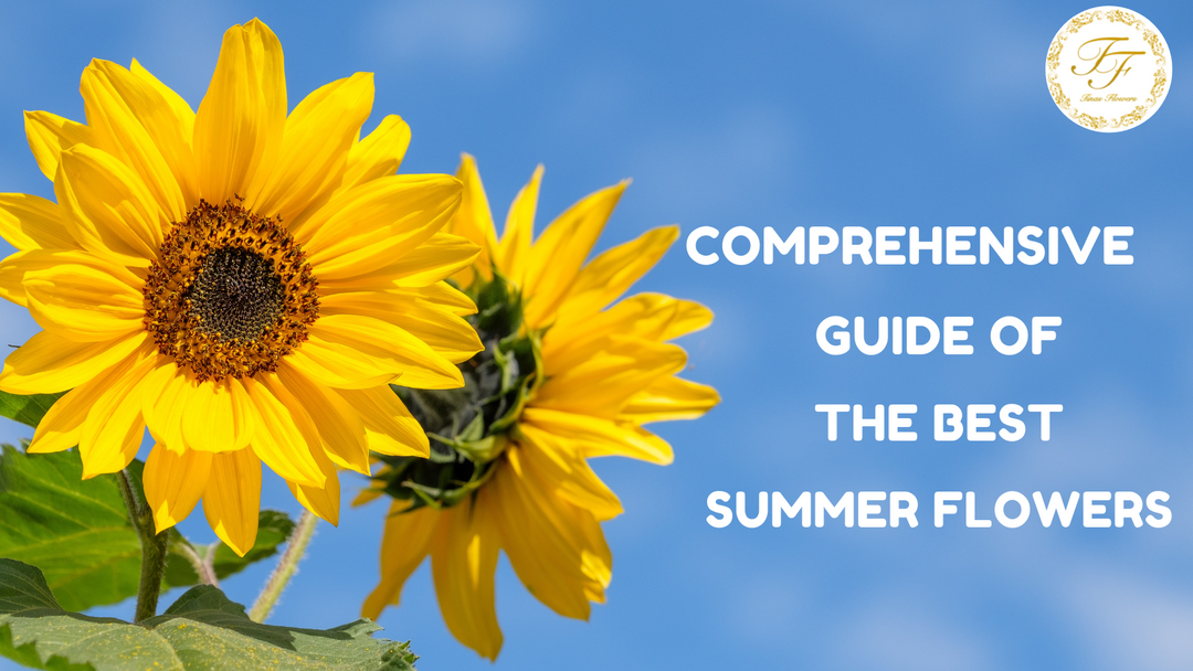 A Comprehensive Guide of the Best Summer Flowers