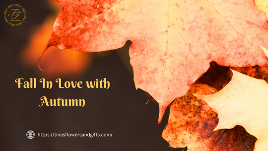 Autumn Flowers: A Guide to Choosing the Perfect Arrangement