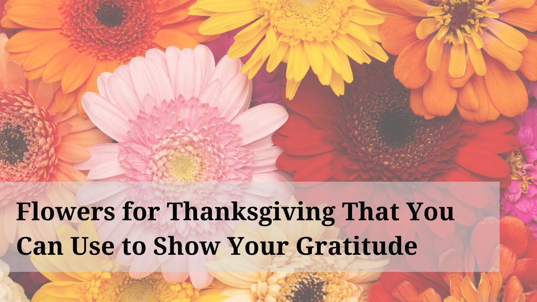 Flowers for Thanksgiving That You Can Use to Show Your Gratitude