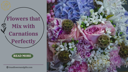 Flowers that Mix with Carnations Perfectly
