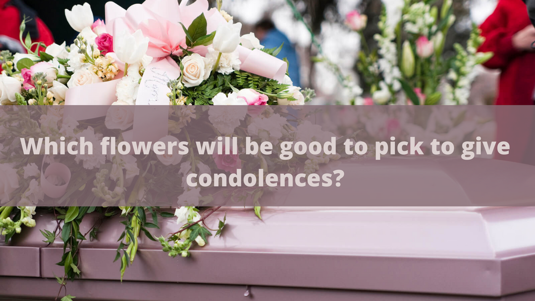 Which flowers will be good to pick to give condolences?