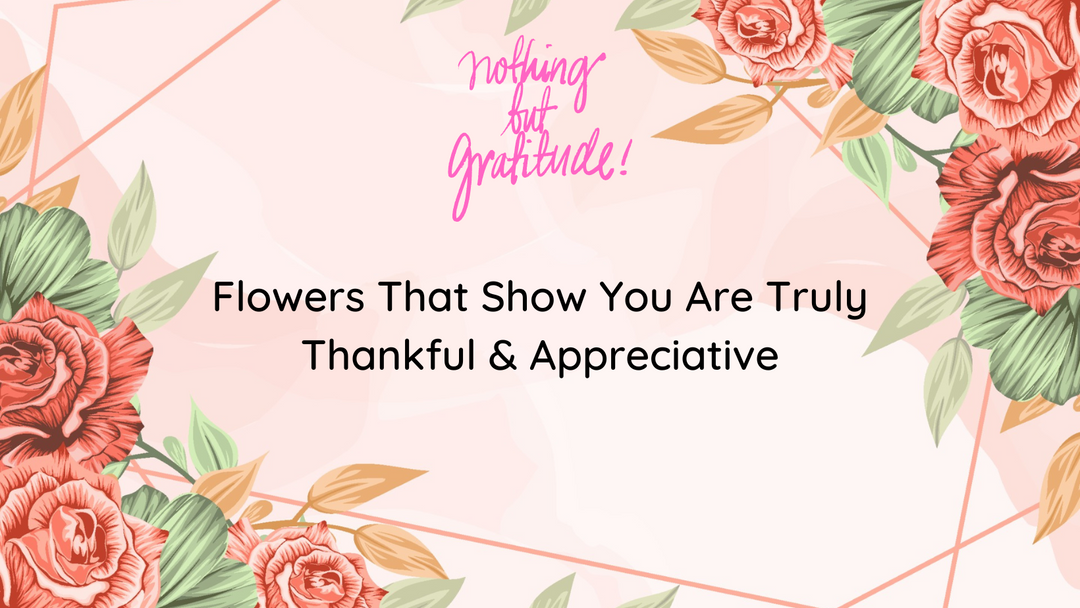 Flowers That Show You Are Truly Thankful & Appreciative