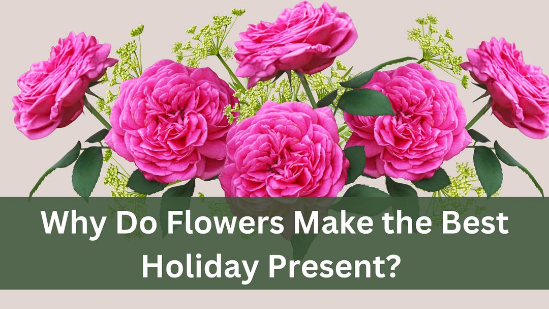 Why Do Flowers Make the Best Holiday Present?