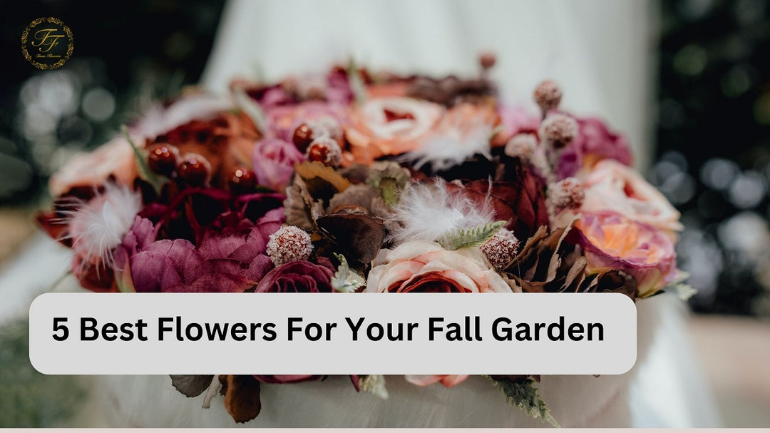 5 Best Flowers For Your Fall Garden
