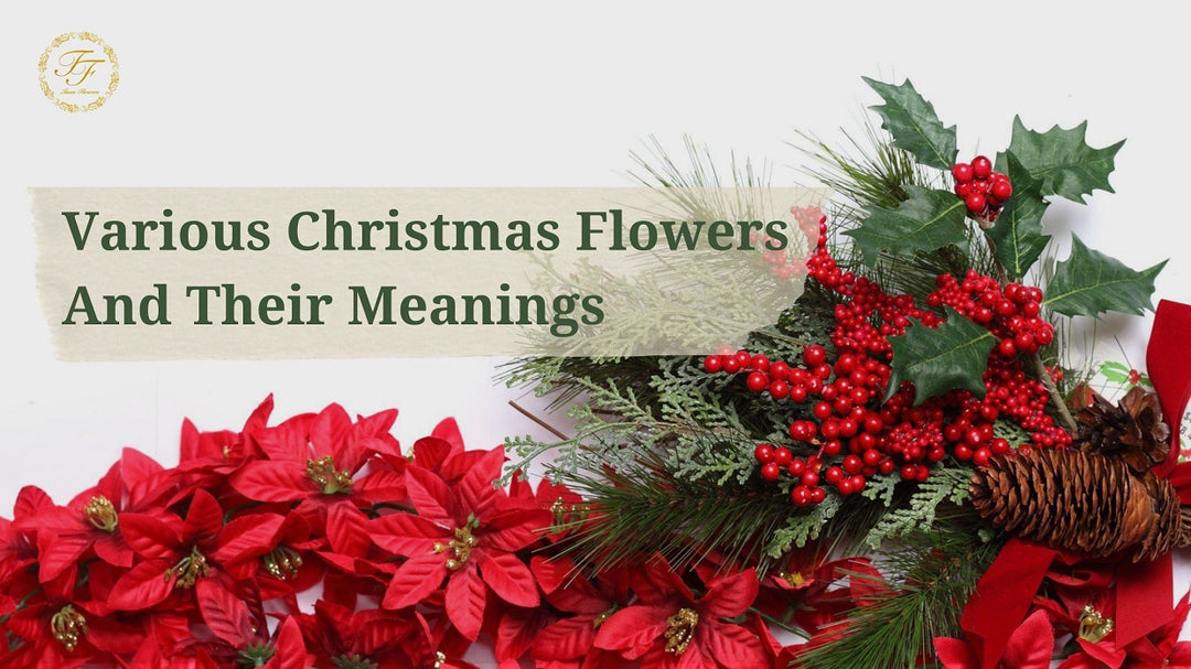 Various Christmas Flowers And Their Meanings