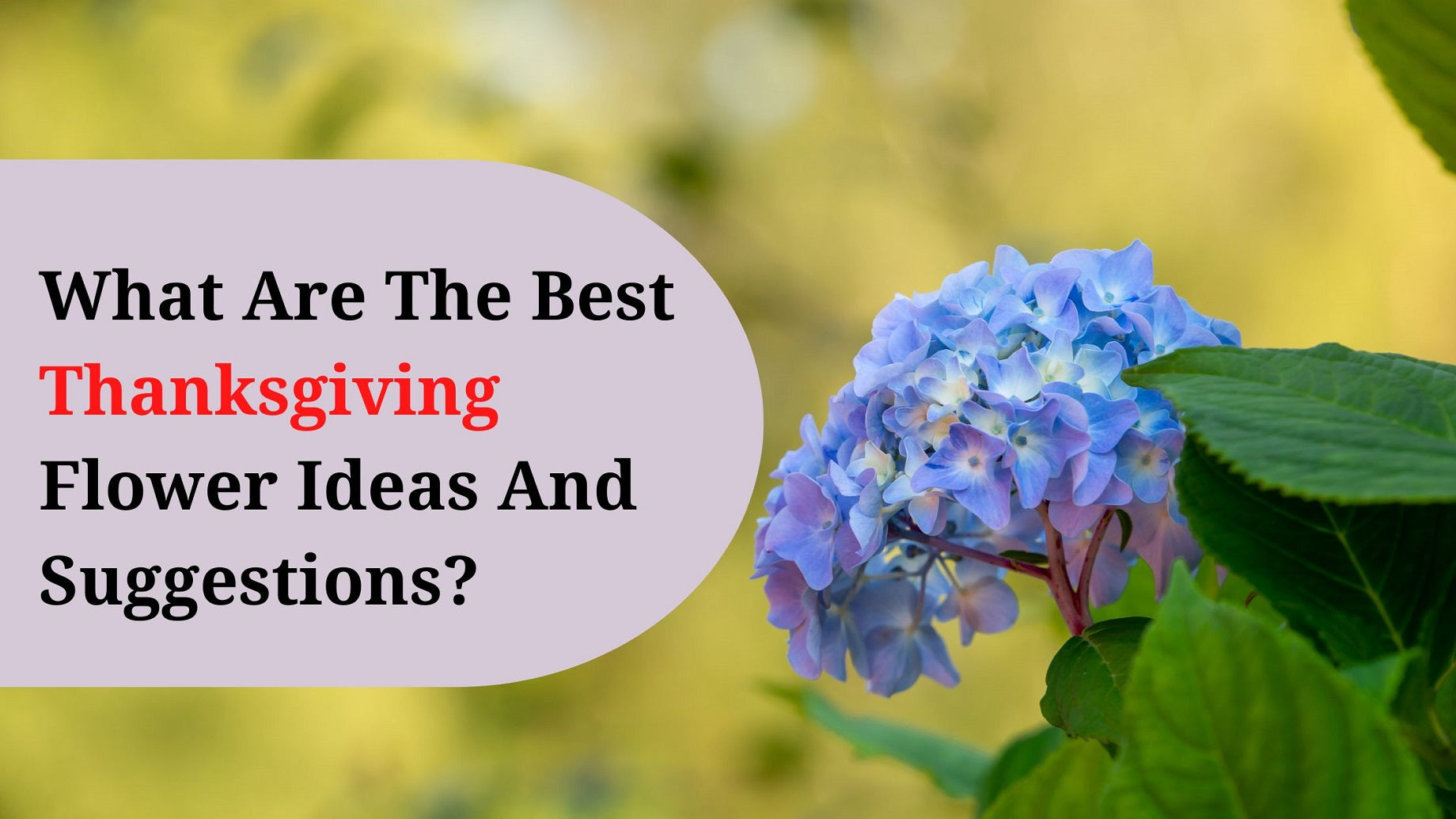 What Are The Best Thanksgiving Flower Ideas And Suggestions? – Tinas ...