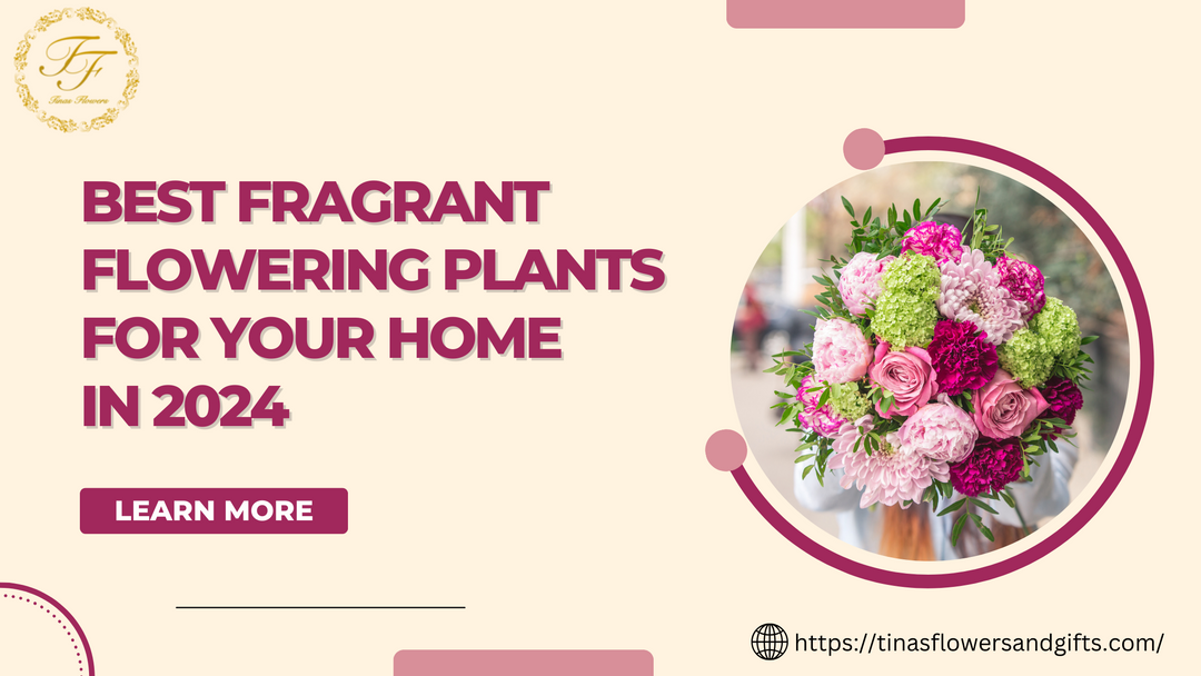 Best Fragrant Flowering Plants for Your Home in 2024