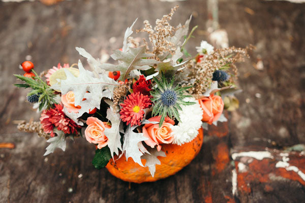Top Ways to Make Use of the Beautiful Halloween Flowers This Year