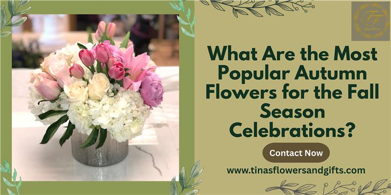 What Are the Most Popular Autumn Flowers for the Fall Season Celebrations?