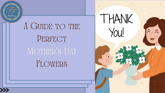 A Complete Guide to the Perfect Mother’s Day Flowers