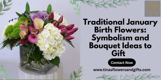 Traditional January Birth Flowers: Symbolism and Bouquet Ideas to Gift